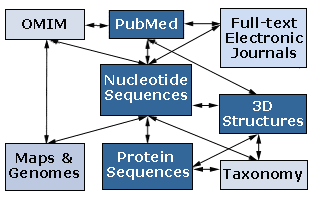 image map of NCBI databases