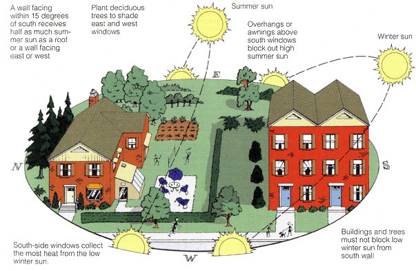 A wall facing within 15 degrees of south receives half as much summer sun as a roof or a wall facing east or west; Plant deciduous trees to shade east and west windows; Summer sun; Overhangs or awnings above south windows block out high summer sun; Winter sun; South-side windows collect the most heat from the low winter sun; Buildings and trees must not block low winter sun from south wall