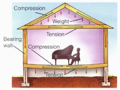House Structure (part 2)