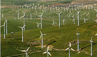 Wind farm: Although the wind provides a “clean” source of energy, wind farms on the massive scale of the one above can dominate a landscape and have a clear environmental impact. 